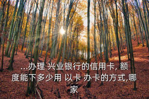 興業(yè)以卡辦卡額度多少錢,興業(yè)加辦卡是共用額度嗎