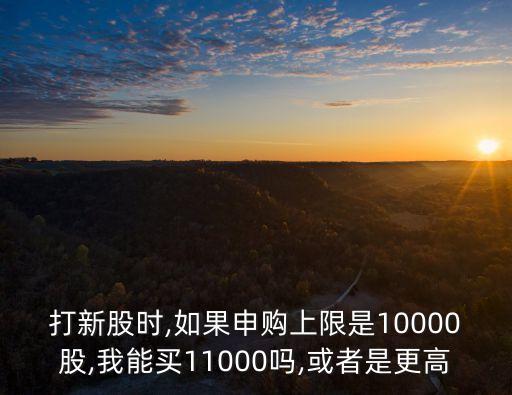 打新股時,如果申購上限是10000股,我能買11000嗎,或者是更高