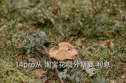 14pro從 淘寶花唄分期要 利息嗎