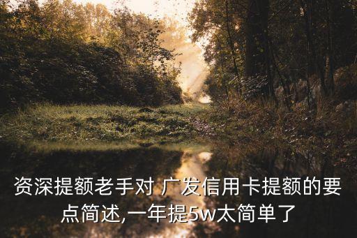 廣發(fā)二卡 提額度是多少,廣發(fā)車主卡怎么提額度