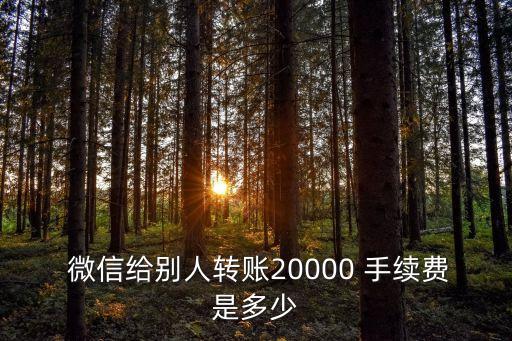 微信轉(zhuǎn)帳3萬手續(xù)費(fèi)多少錢,微信銀行卡轉(zhuǎn)帳要手續(xù)費(fèi)嗎?