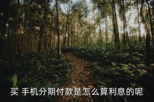 買 手機分期付款是怎么算利息的呢