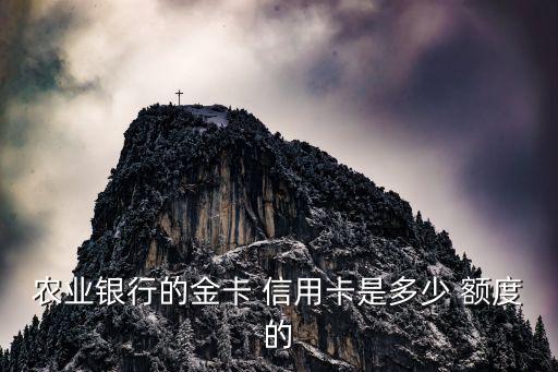 攜程農行萬事達信用卡額度多少錢,農行萬事達燃夢信用卡可以在國內使用嗎
