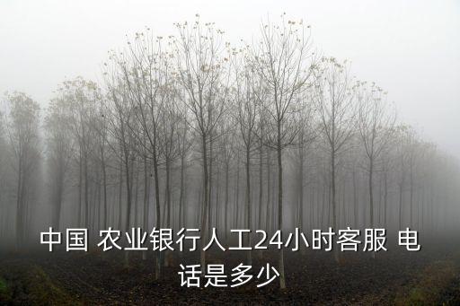 中國 農(nóng)業(yè)銀行人工24小時(shí)客服 電話是多少