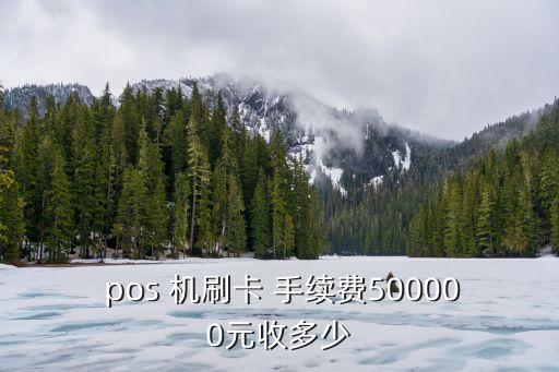  pos 機刷卡 手續(xù)費500000元收多少