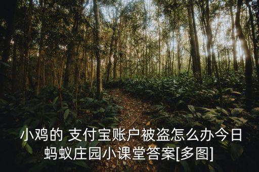  小雞的 支付寶賬戶被盜怎么辦今日螞蟻莊園小課堂答案[多圖]