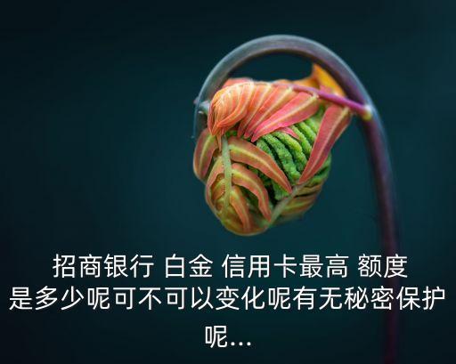  招商銀行 白金 信用卡最高 額度是多少呢可不可以變化呢有無秘密保護(hù)呢...