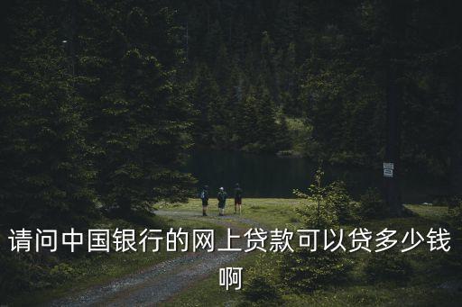 美借現(xiàn)在的額度是多少錢