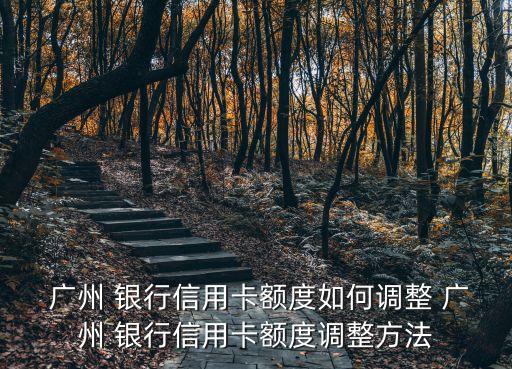  廣州 銀行信用卡額度如何調(diào)整 廣州 銀行信用卡額度調(diào)整方法