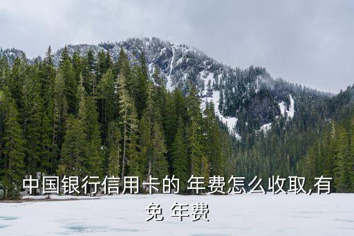 中行的白金卡年費多少,中行白金卡年費800怎樣使用才能免