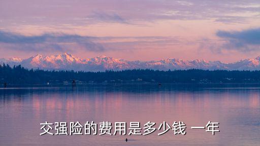 交強(qiáng)險(xiǎn)的費(fèi)用是多少錢 一年