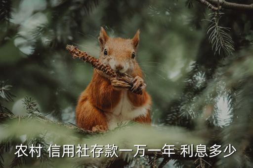 農(nóng)村 信用社存款一萬一年 利息多少
