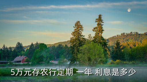 5萬元存農(nóng)行定期 一年 利息是多少