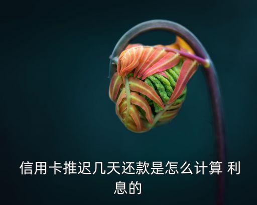 信用卡延期了利息多少