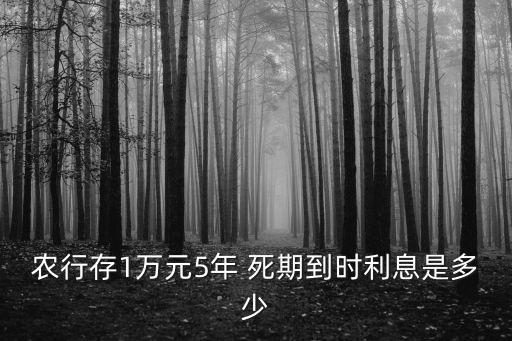 農(nóng)行存1萬元5年 死期到時利息是多少