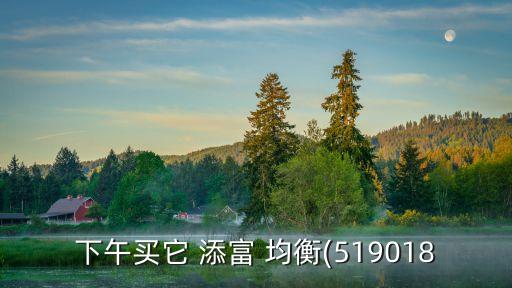 添富均衡凈值是多少,天富均衡今天的基金凈值