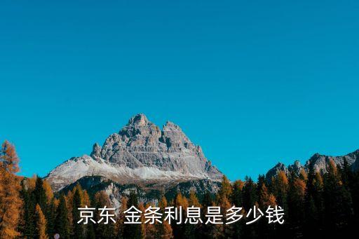 京東金條可以借多少,除了京東金條還有什么可以借款
