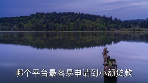 哪個(gè)平臺(tái)最容易申請(qǐng)到小額貸款