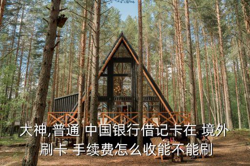 大神,普通 中國銀行借記卡在 境外 刷卡 手續(xù)費怎么收能不能刷