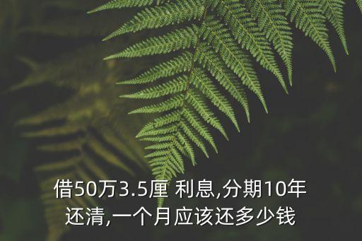 小額貸款50萬利息多少