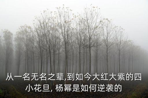三生三世楊冪賺了多少,張杰楊冪演唱三生三世