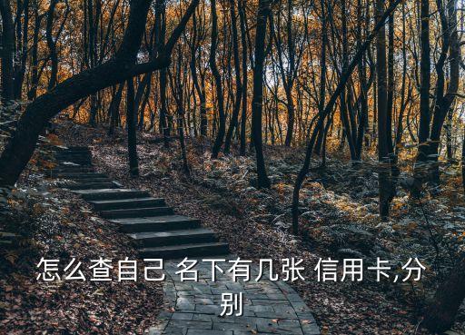 怎么查詢自己名下有多少信用