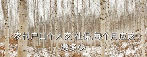  農(nóng)村戶口個(gè)人交 社保,每個(gè)月應(yīng)該繳多少