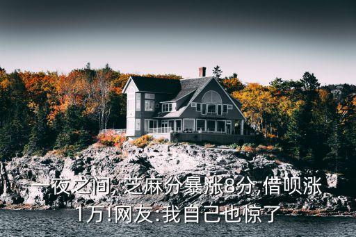 馬云有多少芝麻分