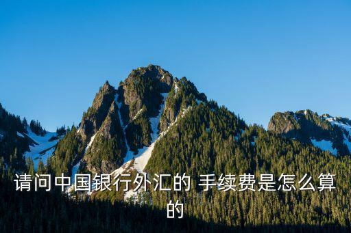 請(qǐng)問(wèn)中國(guó)銀行外匯的 手續(xù)費(fèi)是怎么算的