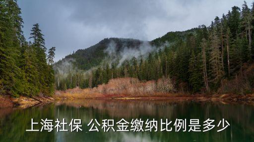  上海社保 公積金繳納比例是多少