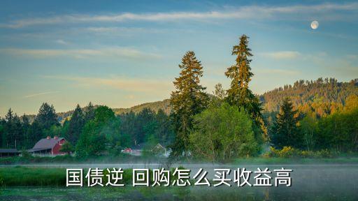 國債逆 回購怎么買收益高