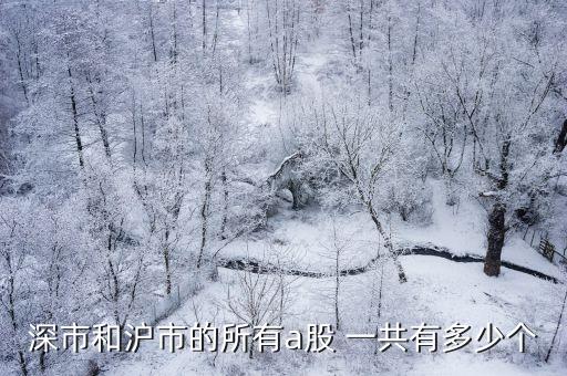 深市和滬市的所有a股 一共有多少個(gè)