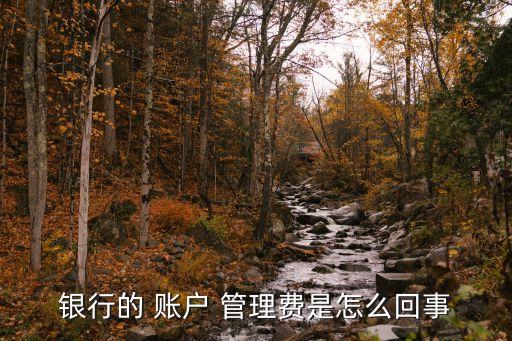 建行賬戶管理費多少,建行補扣賬戶管理費什么意思