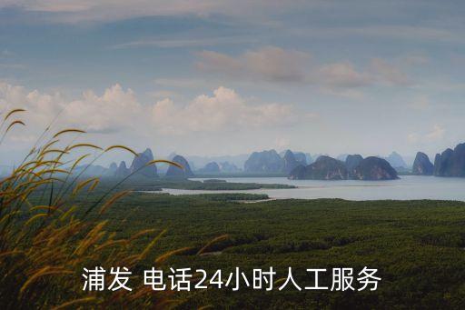 柳州浦發(fā)銀行客服電話是多少錢,浦發(fā)銀行客服電話95528