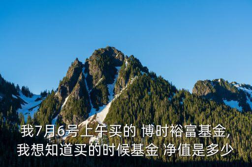 我7月6號上午買的 博時裕富基金,我想知道買的時候基金 凈值是多少