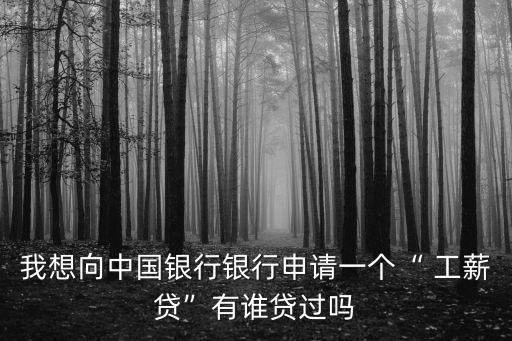 我想向中國銀行銀行申請一個“ 工薪貸”有誰貸過嗎