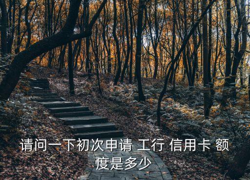 網申工行信用金卡額度多少