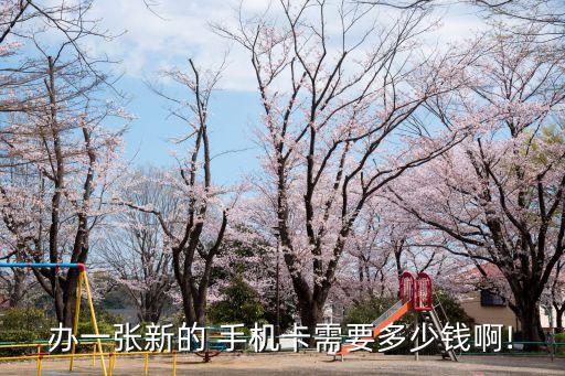 辦一張新的 手機(jī)卡需要多少錢啊!