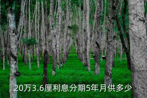 貸款20萬五年月供多少