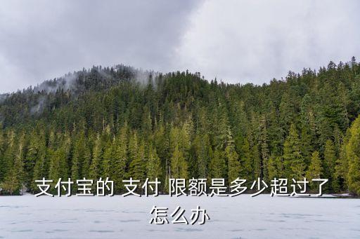  支付寶的 支付 限額是多少超過了怎么辦