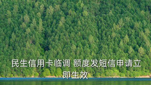  民生信用卡臨調(diào) 額度發(fā)短信申請立即生效
