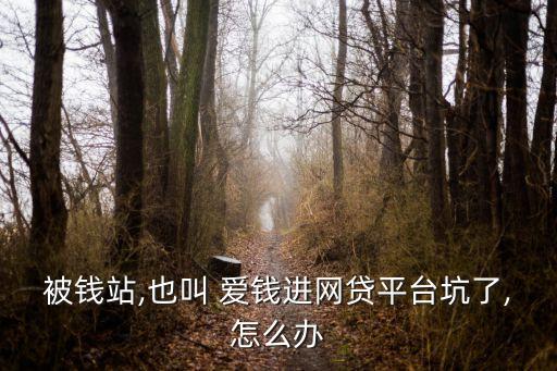 被錢站,也叫 愛錢進(jìn)網(wǎng)貸平臺坑了,怎么辦