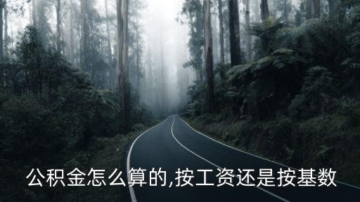 怎么算公積金交多少錢(qián),公積金一個(gè)月交多少算高