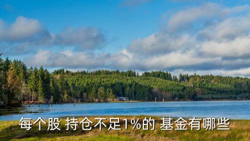 基金持倉比例不低于多少,股票型基金持倉比例不低于