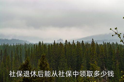 養(yǎng)老保險金能取多少錢,補(bǔ)交養(yǎng)老保險金9年多少錢