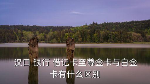 漢口銀行的借記卡的年費多少錢