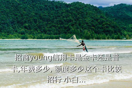 招商小白卡3000額度是多少,招行小白卡額度3000