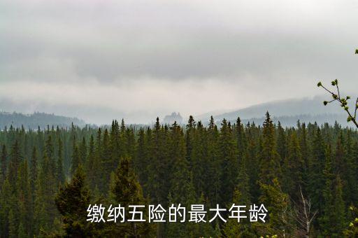 繳納五險的最大年齡