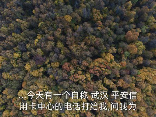 ...今天有一個(gè)自稱 武漢 平安信用卡中心的電話打給我,問我為