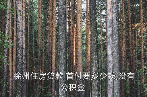 現(xiàn)在徐州買房首付多少,徐州買房首付20%可以嗎